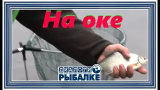Диалоги о рыбалке - 026 / На оке!