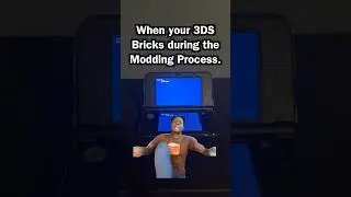 When your 3DS bricks during the modding process. 