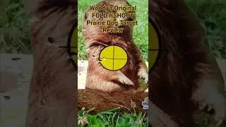 Woody's Original FOLD n'SHOOT Prairie Dog Target Review