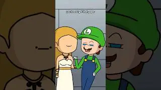 If Luigi rizzed up Zelda