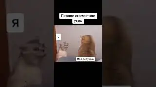 Первое совместное утро |Tik tok \ приколы тик ток| 