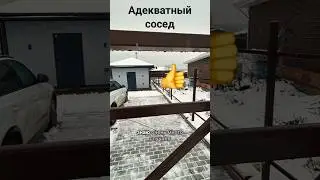 👌 Хороший сосед попался 