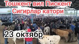 тошкент вил Пискент мол бозори сигирлар катори 23 октябр 2024