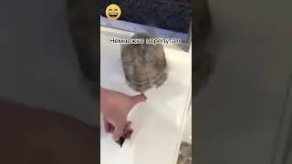 Перепутал 🤣