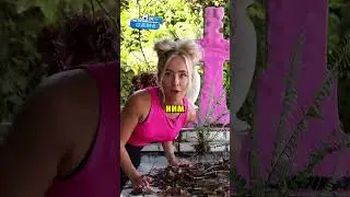 Она почистила случайную могилу 