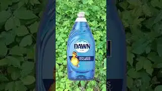 #1 Tip to Prevent Poison Ivy Rash - MUST WATCH