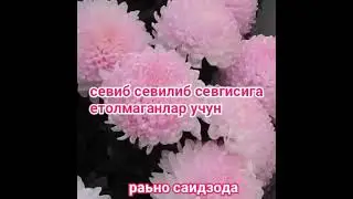 ХАММАГА ЯХШИ КАЙФИЯТ