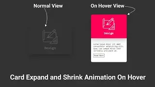 Card Expand & Shrink On Hover Animation | With HTML & CSS