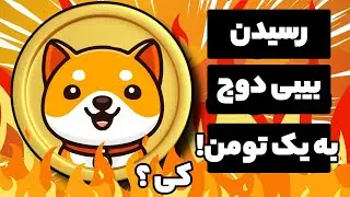 رسیدن قیمت بیبی دوج به یک تومان کی خواهد بود پیش بینی رسیدن قیمت baby doge coin