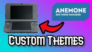 How to install Custom Themes on 3DS