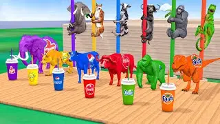 Choose Right Drink with Elephant Gorilla Cow Tiger Dinosaur buffalo Wild Animals Games