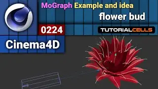 0224. MoGraph Examples ( flower bud, mospline, spline wrap ) in cinema 4d