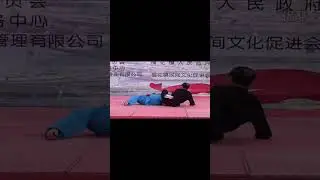 Fujian Dog Boxing or Dishu Quan 地术拳 - Basic Applications