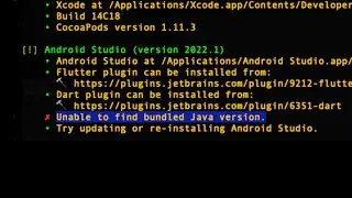 Unable to find bundled Java version on Mac