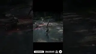 Red Dead Redemption 2 Встретил братьев Скинер