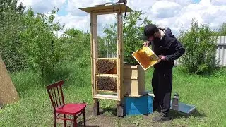 Прозрачный улей / Наблюдательный улей / ПЧЕЛОВОДСТВО.