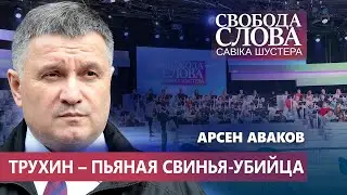 Аваков: “Пьяный, севший за руль, – это пьяная свинья, которая едет убивать”