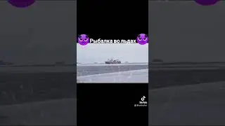 Когда есть рыба , что на суше что в море все слетаются в одно место....