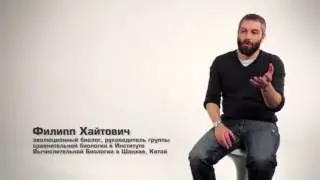 Пластичность мозга