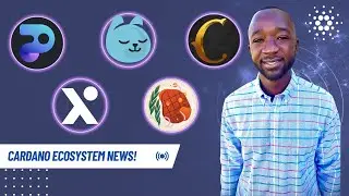 Cardano NEWS - NEW NFT Marketplace, COPI & Minswap Token Farms, AXO Updates & Contingent Staking!