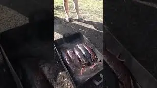 Копчёная щука/Shorts