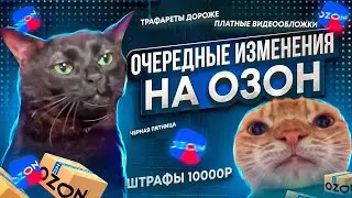 Озон для продавцов. Трафареты стали дороже. Штрафы 10000р за карточку товара.  Готовые видеообложки.