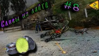 ☢ S.T.A.L.K.E.R ☢ ТЧ ☢ #8: Лайтовые сливы