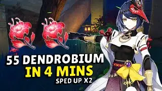 55 Dendrobium In 4 Minutes [SPED UP TO SAVE TIME] &  [FULL ROUTE MAP INCLUDED]