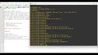 OSPFv2 Configuration Service Provider Lab