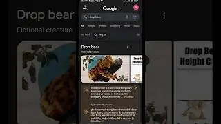 Fact about Google | drop bear 🐻 