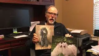 Transfer Photo to Canvas Review by Barry - CanvasChamp™