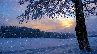 Liquid Drum and Bass Mix 2024 #1