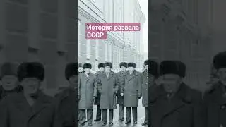#история