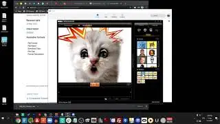 How to get Cat Lawyer Zoom Filter on Windows using Dell Webcam central