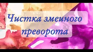 Чистка ЗМЕИНОГО Приворота