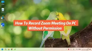 How To Record Zoom Meeting On PC Without Permission