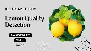 part 1 | end to end deep learning project |lemon quality detection |Data Science project |ML project
