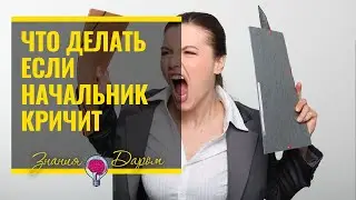 КАК ПОСТУПИТЬ, ЕСЛИ НАЧАЛЬНИК ПОСТОЯННО КРИЧИТ