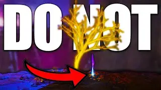 Why you shouldn't pick this item up in Elden Ring
