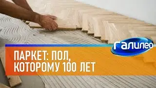 Галилео 🛋 Паркет: пол, которому сто лет