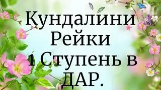 Кундалини Рейки 1 Ступень в ДАР.