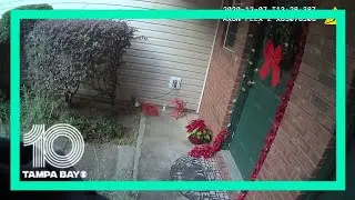 FDLE releases video of raid on former Florida coronavirus dashboard workers home| 10 Tampa Bay