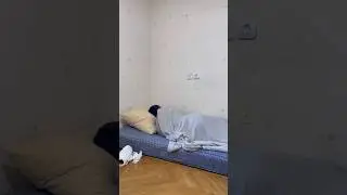 Берегите мужчин 😁