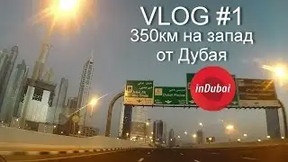VLOG  in Dubai ♦1 | "350км на Запад от Дубая"| Блог в Дубае