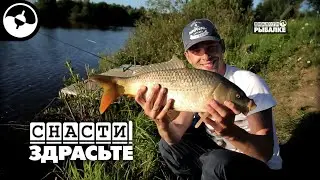 Сазан на ультралайт | Снасти, здрасьте!