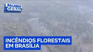 Floresta Nacional de Brasília tem 40% do território destruído em queimadas que atingem o DF