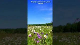 #андрейординарцев #природапрекрасна #природароссии Природа нижегородской области.