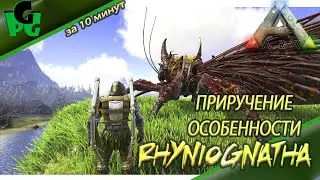 Риниогната приручение и способности, доступна на картах Lost Island и The Island 