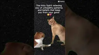 Release Patterns and Misbeliefs to Embrace Your Good!  #tarot #loveunion #twinflame
