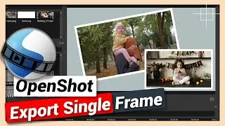 Export Single frame or Take Snapshot | OpenShot Tutorial